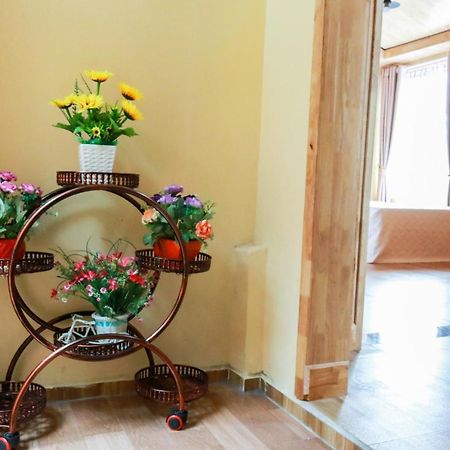 Cat Ba Vintage Homestay カットバ島 エクステリア 写真