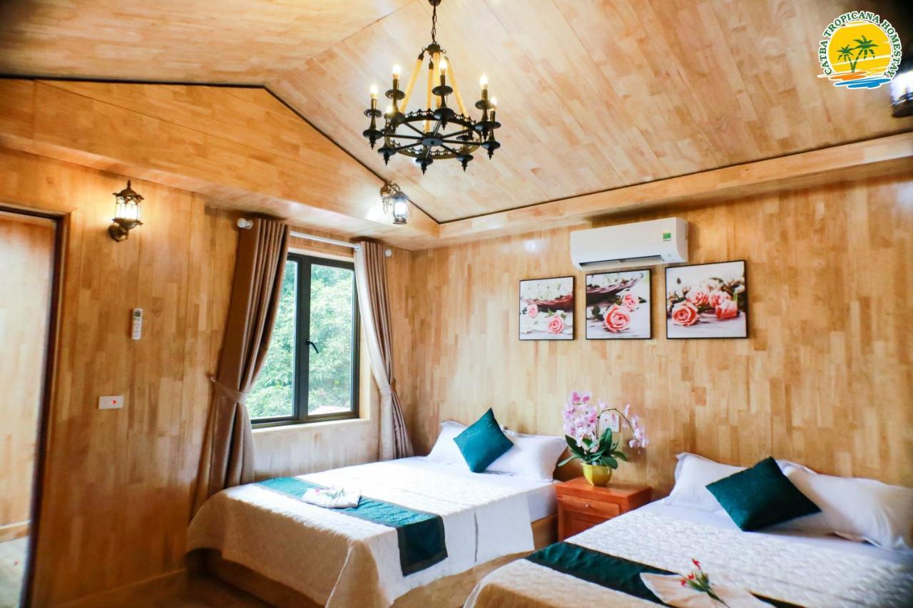 Cat Ba Vintage Homestay カットバ島 エクステリア 写真