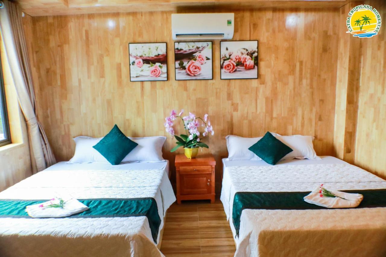 Cat Ba Vintage Homestay カットバ島 エクステリア 写真