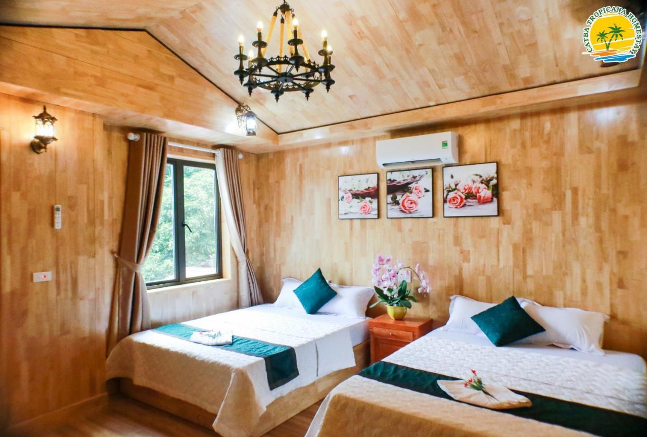 Cat Ba Vintage Homestay カットバ島 エクステリア 写真