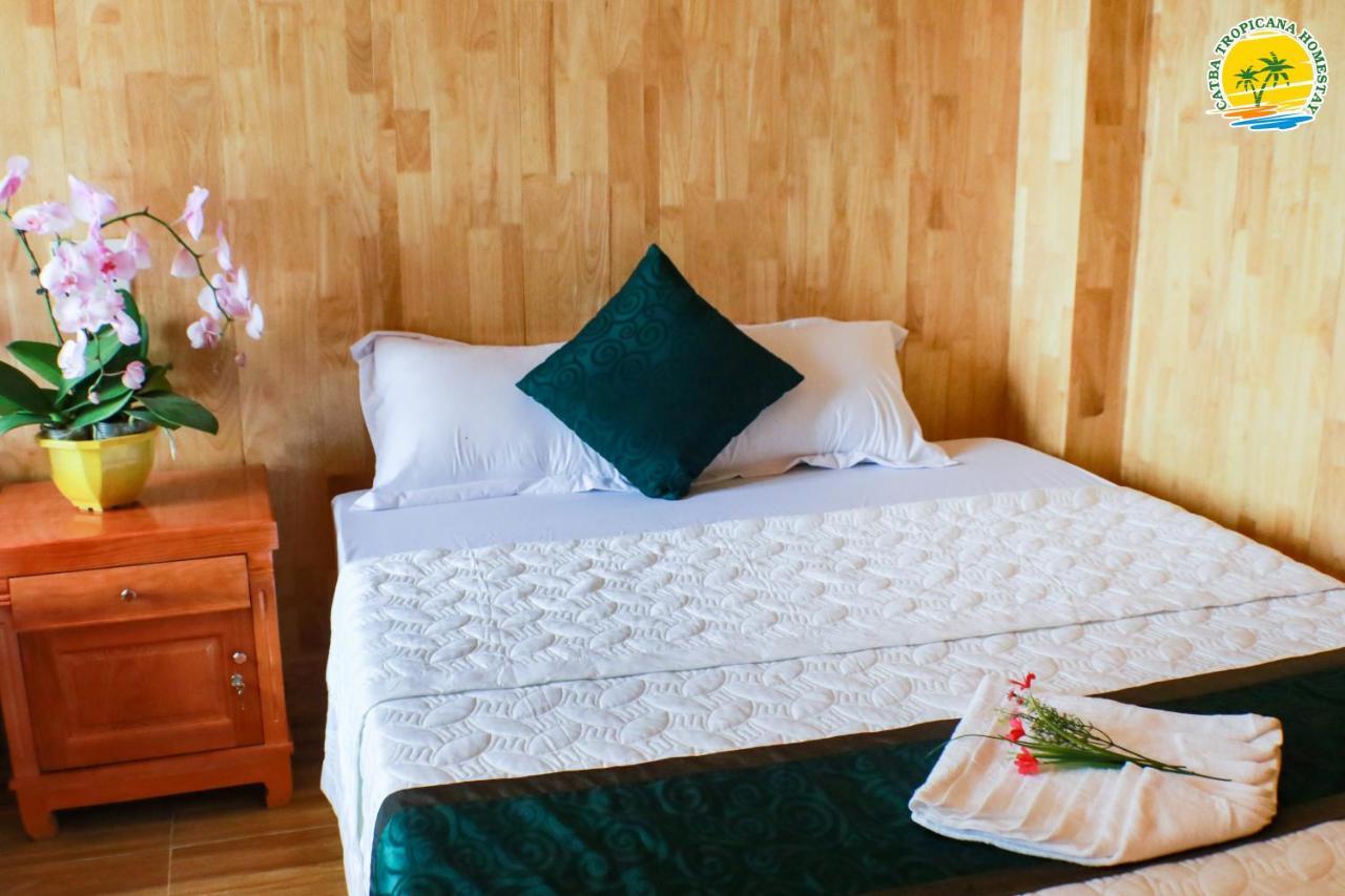 Cat Ba Vintage Homestay カットバ島 エクステリア 写真